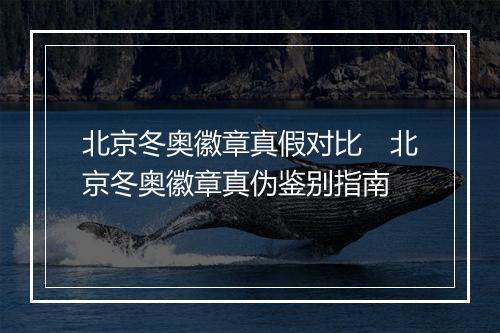 北京冬奥徽章真假对比　北京冬奥徽章真伪鉴别指南