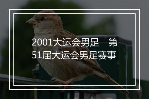 2001大运会男足　第51届大运会男足赛事